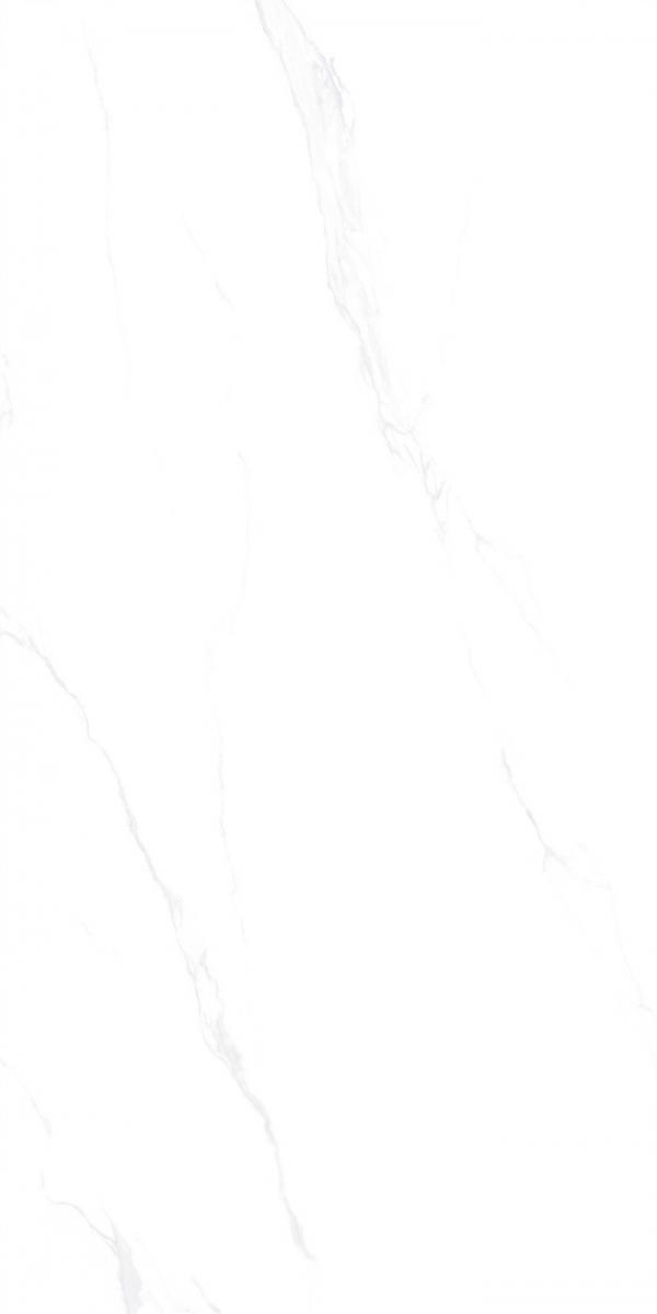 GMZ158616.jpg GMZ158616.jpg